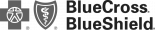 bsbc-v2